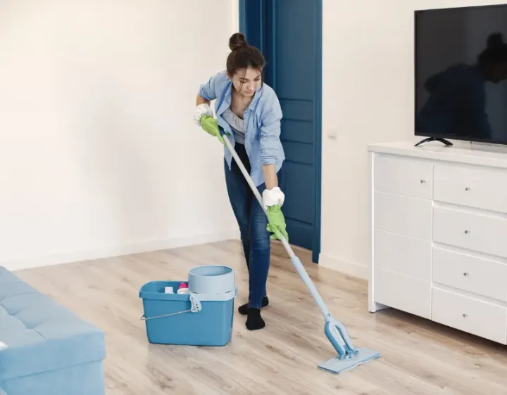 Femme de ménage Oye-et-Pallet